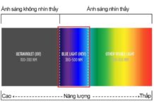 Những Loại Ánh Sáng Gây Hại Cho Mắt? Loại Ánh Sáng Nào Hại Mắt?